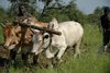 Agric-1